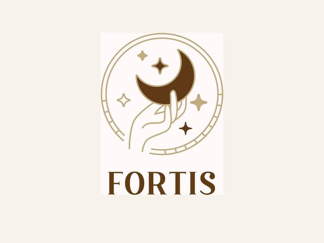 Fortis 豐蒂斯公司網站