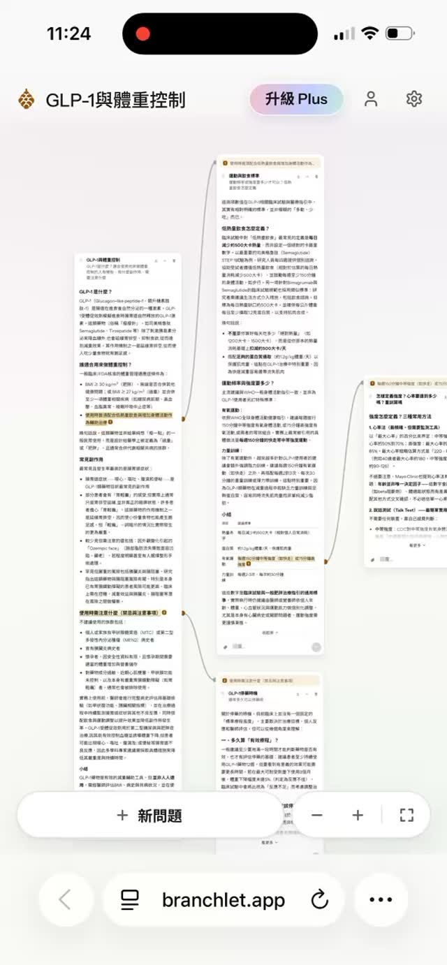 Branchlet 分支思考畫布 作者附圖