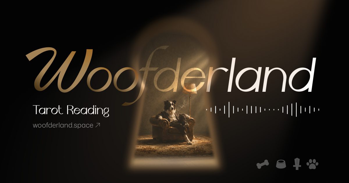Woofderland 汪福塔羅 作者附圖